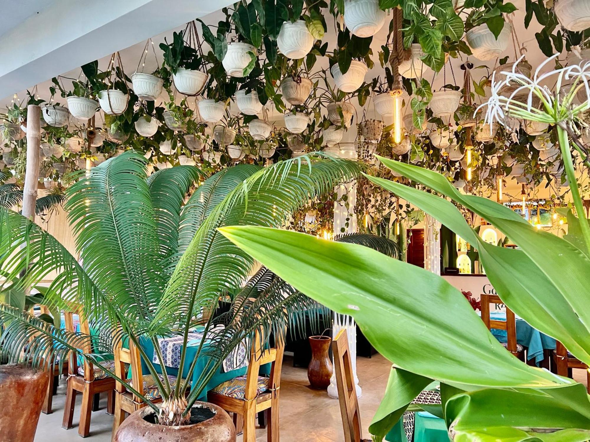 Gadea Boutique Hotel& Gadea Garden Italian Restaurant (Adults Only) 잠비아니 외부 사진