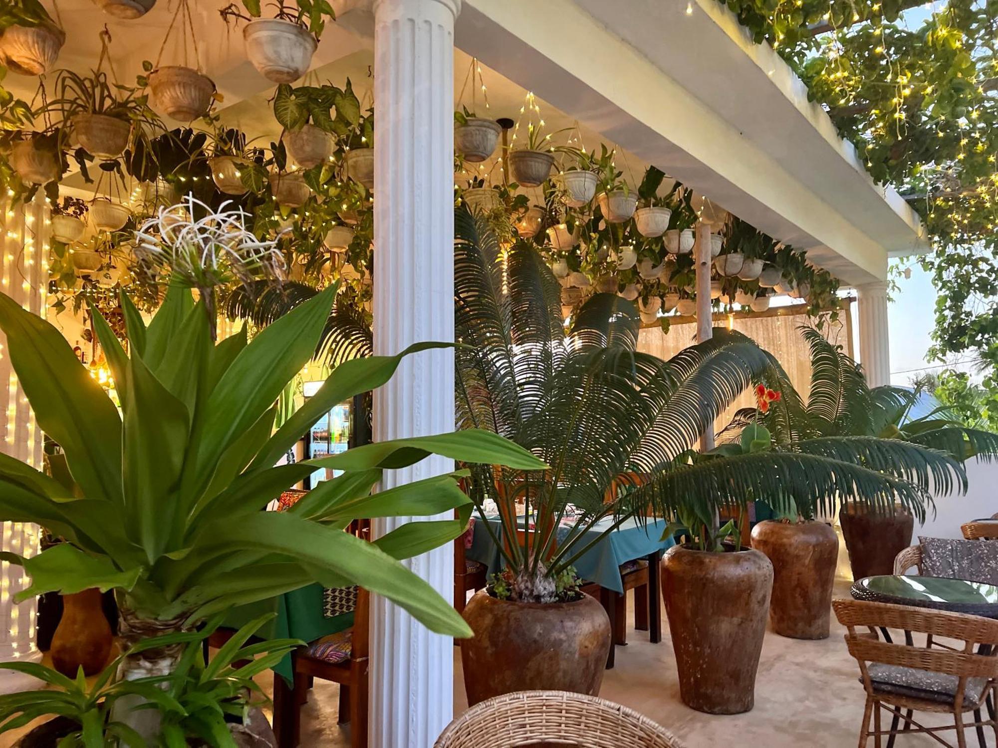 Gadea Boutique Hotel& Gadea Garden Italian Restaurant (Adults Only) 잠비아니 외부 사진
