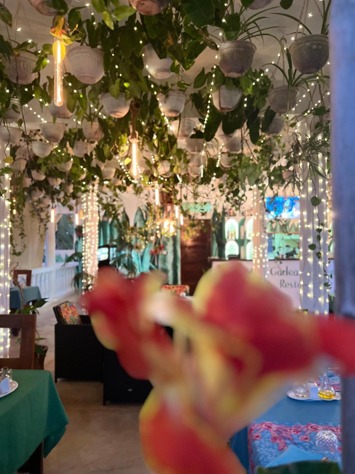 Gadea Boutique Hotel& Gadea Garden Italian Restaurant (Adults Only) 잠비아니 외부 사진